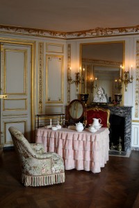 Château de Fontainebleau (7)