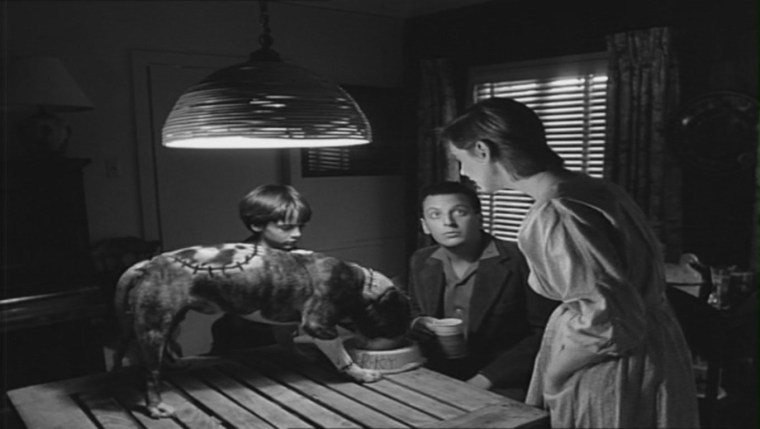Frankenweenie, 1984, Tim Burton