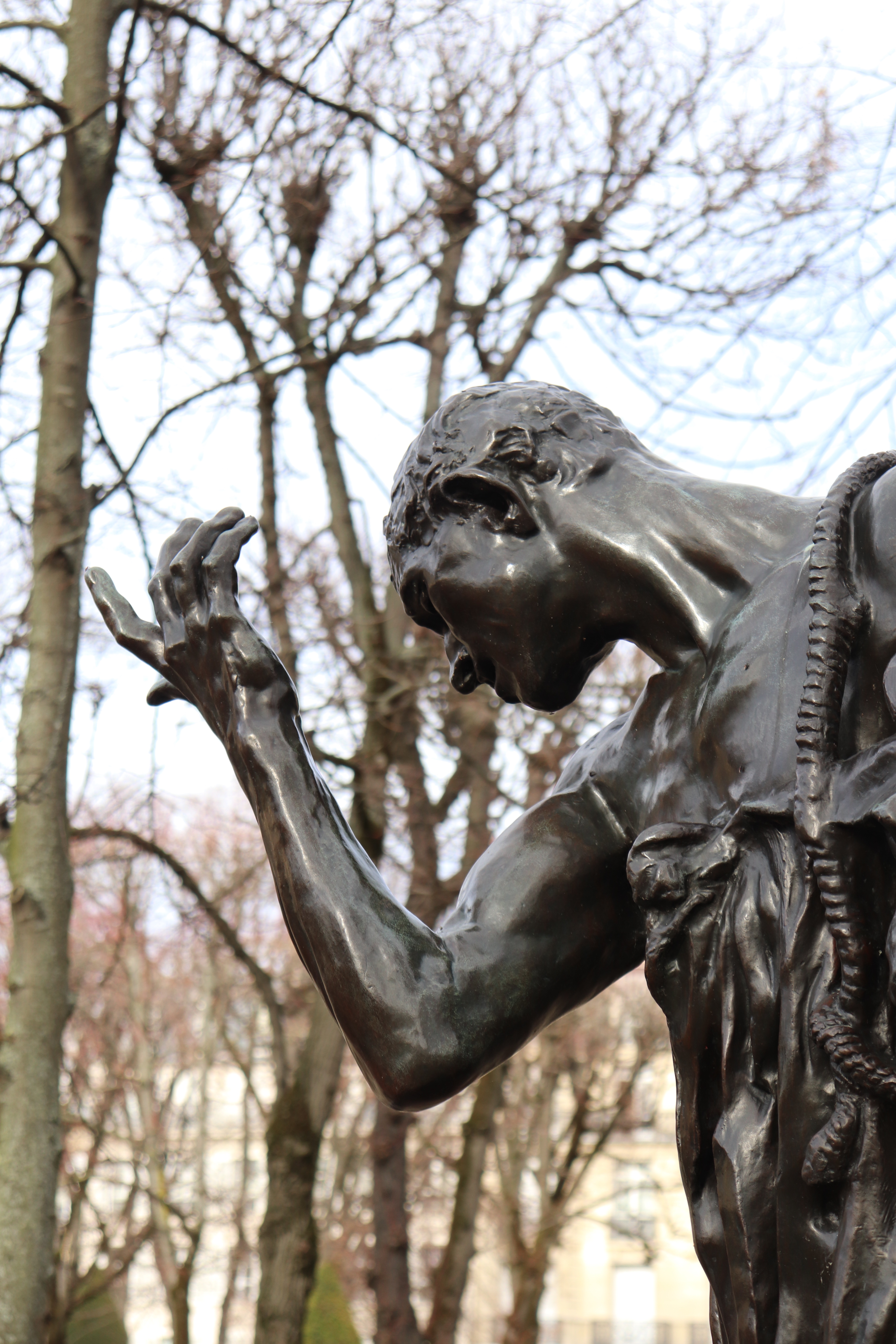 Le Jadin du Musée Rodin